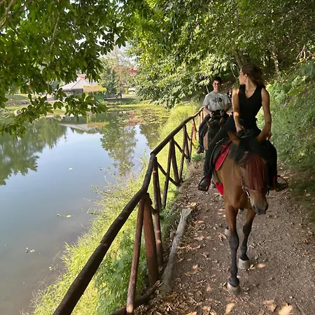 Alba Di Montanaria E A *