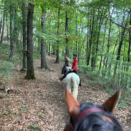 Alba Di Montanaria E A