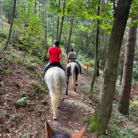 Lägenhet Alba Di Montanaria E A Brosso