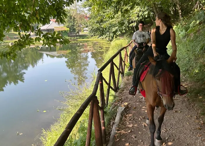 Alba Di Montanaria E A *