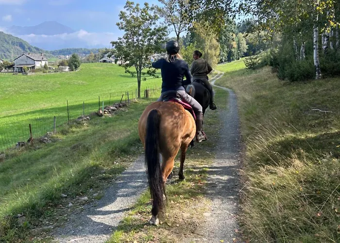 Appartement Alba Di Montanaria E A *