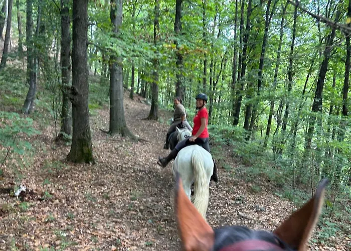 Alba Di Montanaria E A