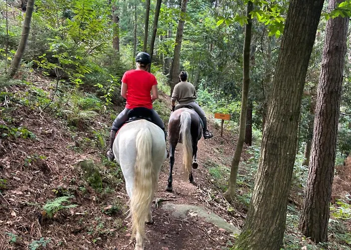 Lägenhet Alba Di Montanaria E A Brosso